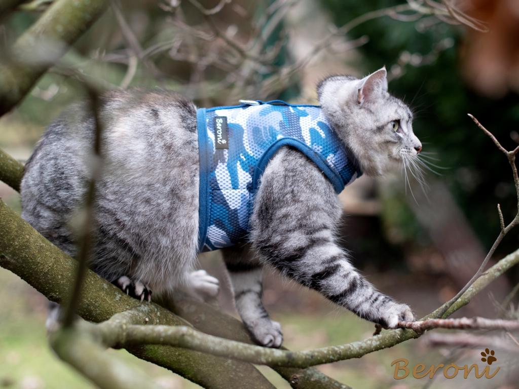 Harnais pour chat NO ESCAPE mesh motif camouflage bleu