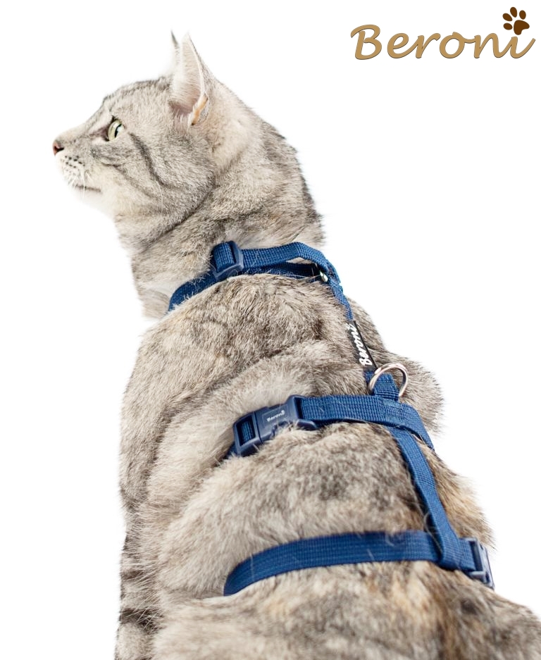 Harnais de sécurité supérieur anti-cassure Safety Harness Classic bleu