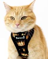 Harnais pour chat Beroni@ Quick Snap couronne dorée